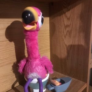 Oh no gottA go flamingo